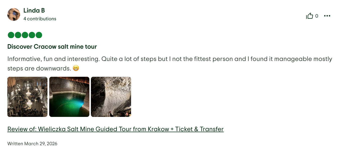 TripAdvisor review 3