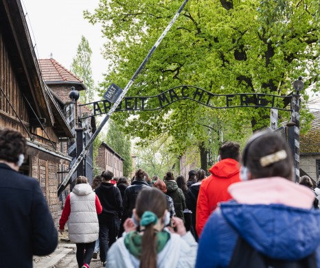 Auschwitz-Birkenau: English Guided Tour Entrance Ticket