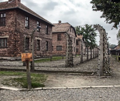 Auschwitz - Birkenau self-guided tour from Krakow